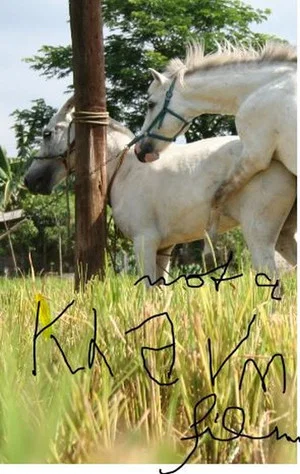 Постер: The Muzzled Horse of an Engineer in Search of Mechanical Saddles
