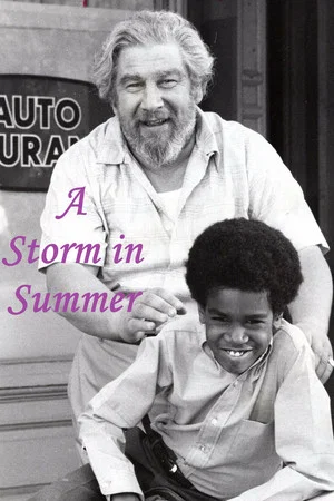 Постер: A Storm in Summer