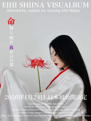 Постер: Eihi Shiina Visualbum