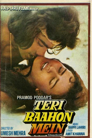 Постер: Teri Baahon Mein