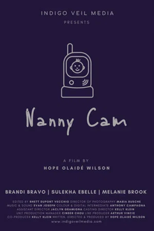 Постер: Nanny Cam
