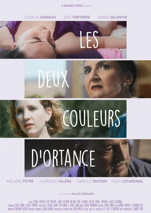 Постер: Les deux couleurs d'Ortance
