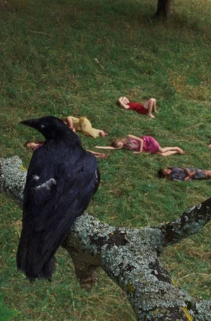 Постер: The Bird Game