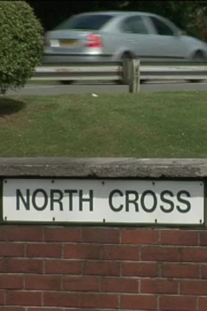 Постер: North Cross