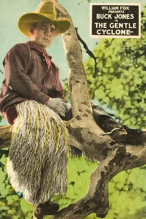 Постер: The Gentle Cyclone