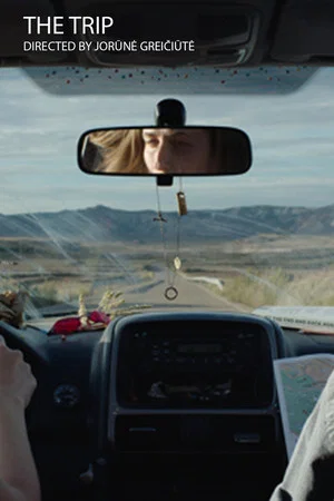 Постер: The Trip