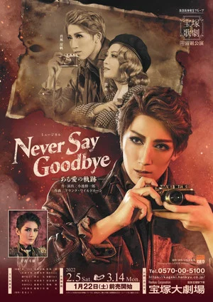 Постер: Never Say Goodbye