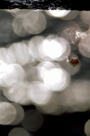 Постер: It Has Already Been Ended Before You Can See the End