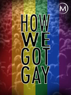 Постер: How We Got Gay