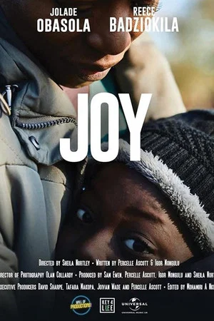 Постер: Joy