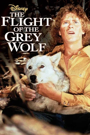 Постер: The Flight of the Grey Wolf