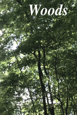 Постер: Woods