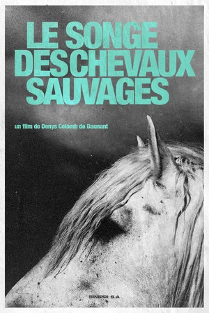 Постер: Dream of the Wild Horses