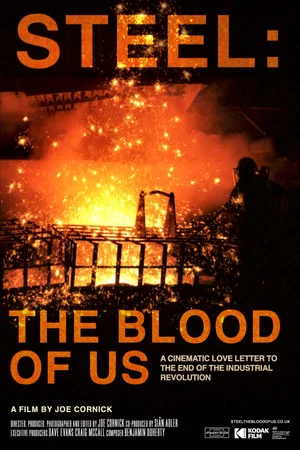 Постер: Steel: The Blood Of Us