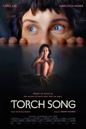 Постер: Torch Song