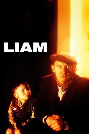 Постер: Liam