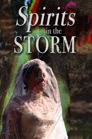Постер: Spirits in the Storm