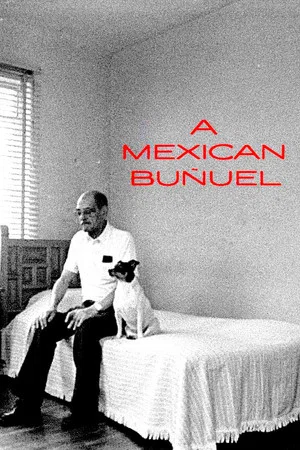 Постер: A Mexican Buñuel