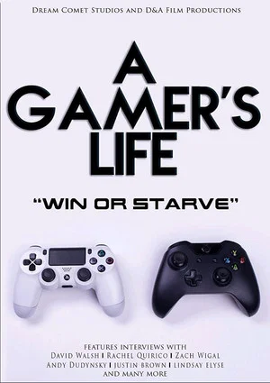 Постер: A Gamer's Life