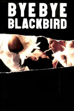 Постер: Bye Bye Blackbird