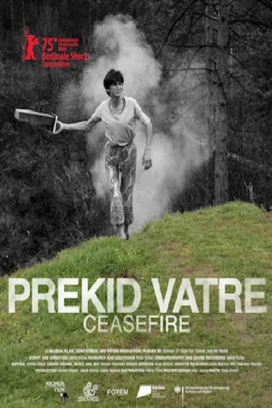 Постер: Ceasefire