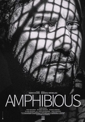 Постер: Amphibious