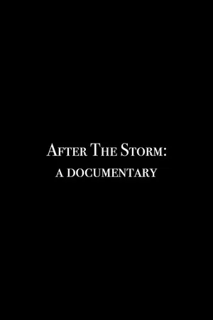 Постер: After the Storm: A Documentary