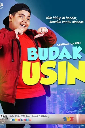 Постер: Budak Usin