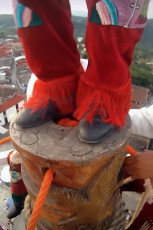 Постер: Dancing with Voladores