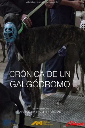 Постер: Crónica de un galgódromo