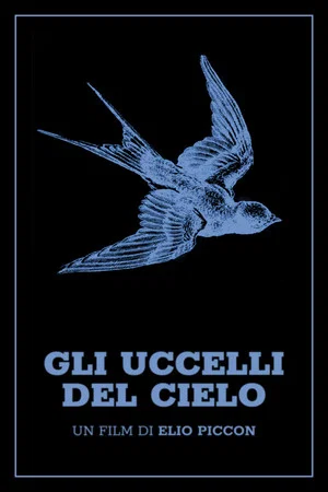 Постер: Gli uccelli del cielo