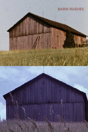 Постер: Barn Rushes