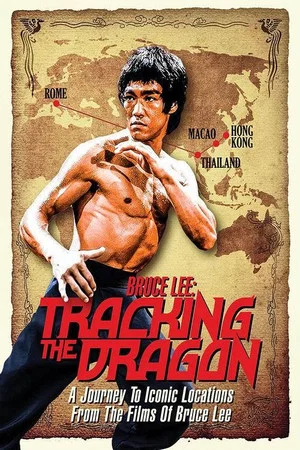 Постер: Bruce Lee: Tracking the Dragon
