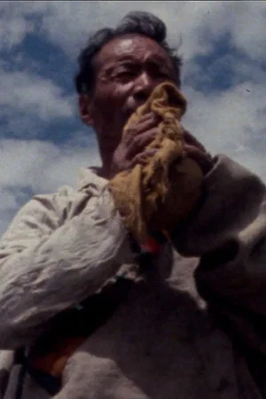 Постер: In the Birthplace of the Tibetan Nationality