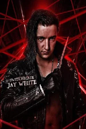 Постер: RevPro New Year's Resolution