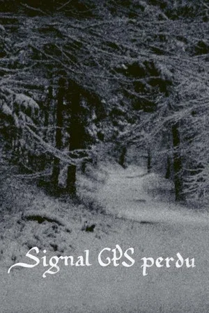 Постер: GPS Signal Lost