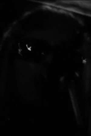 Постер: One Roll in the Blackness