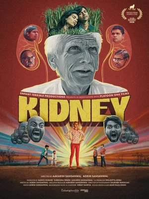 Постер: Kidney