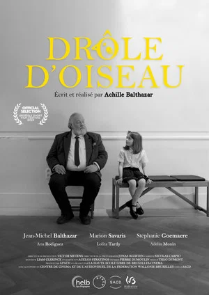 Постер: Drôle d'Oiseau