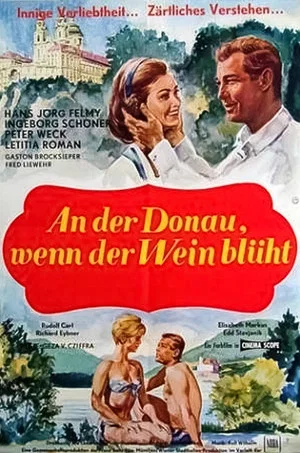 Постер: An der Donau, wenn der Wein blüht