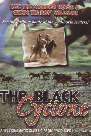 Постер: The Black Cyclone