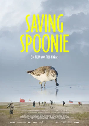 Постер: Saving Spoonie