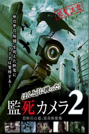 Постер: Paranormal Surveillance Camera 2