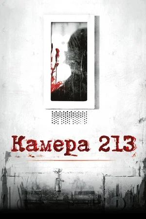 Постер: Камера 213