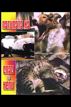 Постер: The Adventures of Spas and Nelly