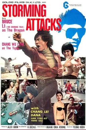 Постер: Storming Attacks