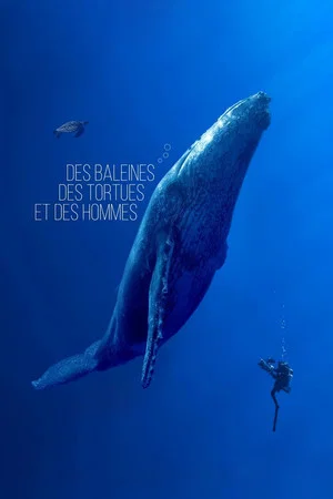 Постер: Des baleines, des tortues et des hommes