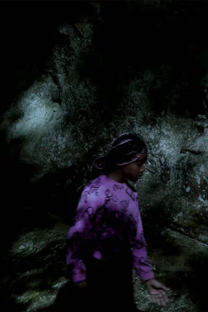 Постер: The Creature of Darkness