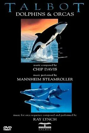 Постер: Talbot Dolphins & Orcas