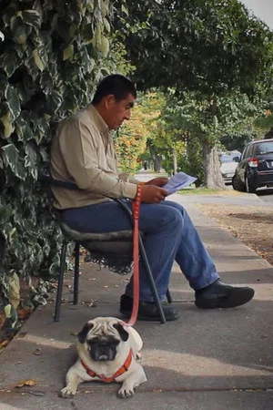 Постер: El Lonko de Oxford